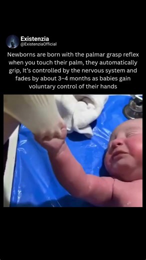 The Palmar Grasp Reflex : A Newborn’s First Instinct