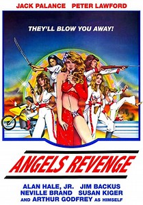 Angels Revenge (1979)