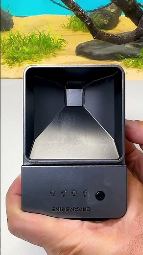 simple and practical automatic timed fish feeder for aquariums