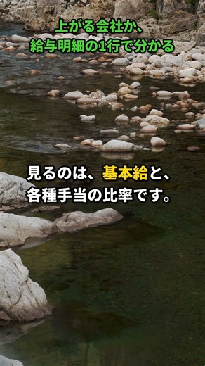 給料が上がる会社か、給与明細の1行で分かる #給与明細 #転職 #仕事 #働き方