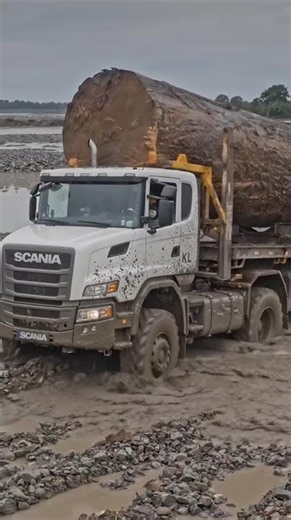 Massive Log Truck Battles Deep Floodwaters #truck #offroad #shorts