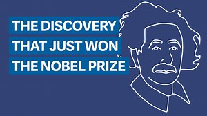 Three scientists just won the Nobel Prize in Physics for finding something Einstein predicted a hundred years ago. | Quartz