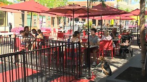 307K views · 5.8K reactions | Attendees of the Sept. 1 so-called "health freedom" rallies against COVID-19 vaccines and mandates spread a lot of misinformation and now, B.C. health experts are debunking some of the protesters' top claims. globalnews.ca/video/8169658/b-c-doctors-debunk-misinformation-spread-at-health-freedom-protests | Global BC | Facebook