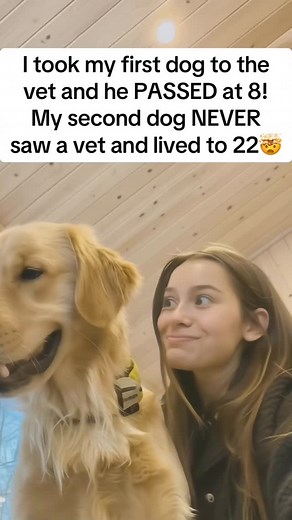 My first dog went to every vet appointment. Every vaccine. Every blood test. Every “preventative” they recommended. And still… he only lived to 8. 💔 That day, something inside me broke. I couldn’t trust vets the same way again. So when my second dog started showing bad breath and red gums, I didn’t go back to a clinic. I called my dad’s friend — the best holistic dog healer in NYC. People call him “woo woo,” but this man knows dogs. He’s helped them live longer, healthier lives for years withou