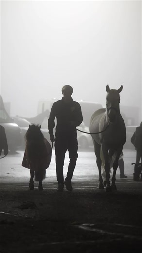 Living the Dream with My Horses: A Grateful Journey