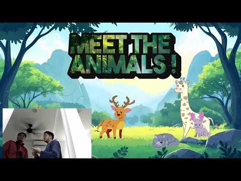 Fizz Animation Live Stream