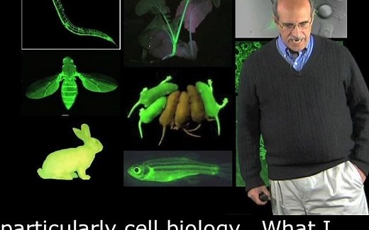 【ibiology】如何将GFP应用于生物大分子标记/Developing GFP as a Biological Marker