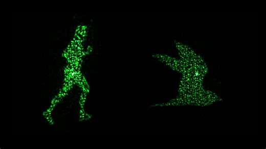 New metasurface could advance AR, VR and LiDAR technologies
