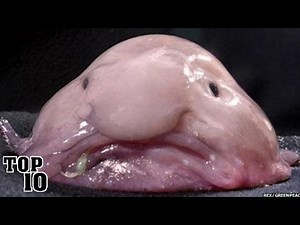 Top 10 Most Disgusting Animals Of All Time