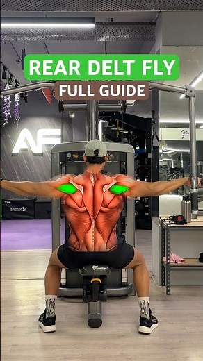 🟢 READ DELT FLY - FULL GUIDE
