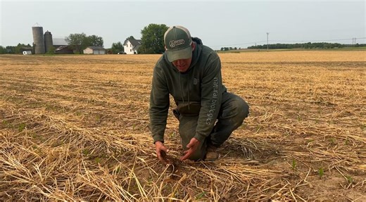 Nitrogen Optimization Pilot Program helps promote efficiency for farmers