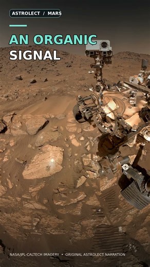 Did NASA Find Life on Mars?