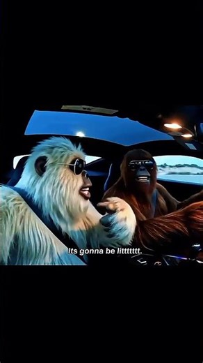 monkey car drive ai video#monkeyvideo #aivideo