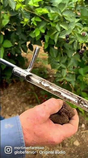 Soil Testing