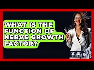 What Is The Function Of Nerve Growth Factor? - Science Through Time