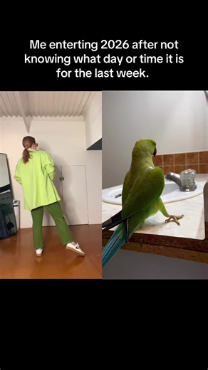 We’re here and ready. With @🦜 Darwin & Sophia 👩🏻 | darwin we waited for 7 months