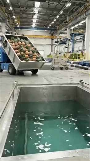 Inside a morden factory how thousands of pineapples juice bottles are made daily #viral #factory