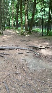 Guided a visit to the Bois Jacques near Bastogne today—where the men of Easy Company held the line through snow, shellfire, and sleepless nights during the Battle of the Bulge. The foxholes are still there. The silence speaks volumes. Tour with The National WWII Museum and Battlefield Discovery | The Battlefield Explorer