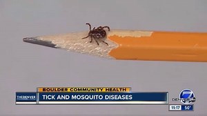 Boulder Community Health joins us to discuss how to protect yourself this summer from different insects and the diseases they carry. #Denver7Sponsor Find out more » http://bit.ly/2I3W28V | Denver7