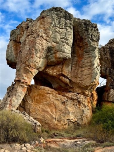 “Frozen in Stone: The Lost Giants of a Forgotten World” #PetrifiedGiants #HiddenHistory #AncientMysteries #LostCivilizations #fyp