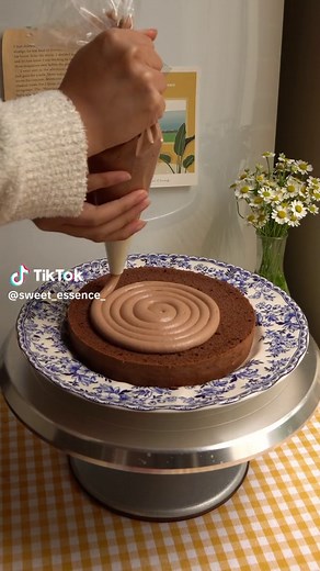 Chocolate Japanese Strawberry Shortcake Recipe