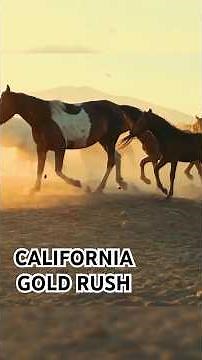 History of CALIFORNIA Gold Rush #greydiaries #california #goldrush #america #history