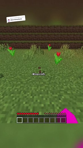 Exploring Minecraft with More Structures!