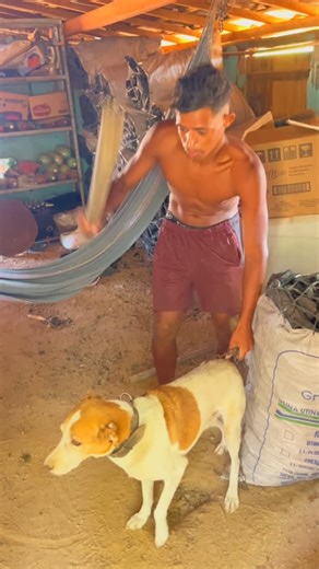 Quixabaofc Quixabaofc on Instagram: "Vou matar esse cachorro"