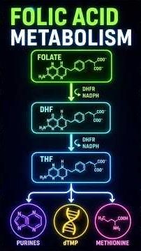 Folic acid Biochemistry #biology #shortsfeed #medicalbiochemistry #vitamins