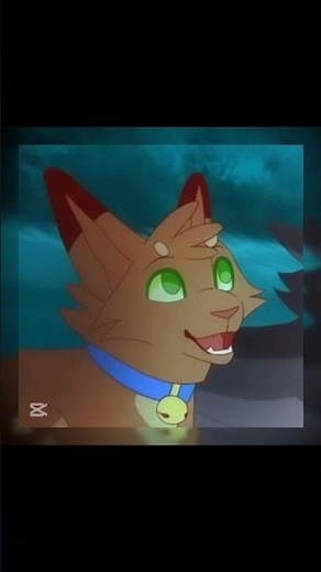 FIRESTARRR🔥⭐️// #warriorcatsedit #warriorcats #warriors #firestar #firestaredit #shorts #edit #fypシ