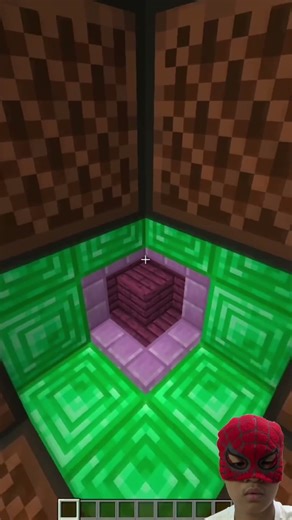 Can You Spot Where This Video Ends? 🤔 | Perfect Loop Minecraft #shorts