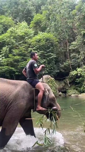 tangkahan langkat