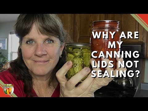 Why are My Canning Lids Not Sealing? Are your methods right? pt 4