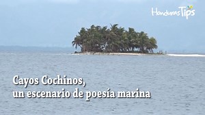 Este es uno de los destinos que tiene las aguas más cristalinas de Honduras, una gran barrera coralina y es el refugio de la boa rosada. Te gustaría conocrte este escenario de poesía marina. ---► https://bit.ly/30GgvVO | Honduras Tips