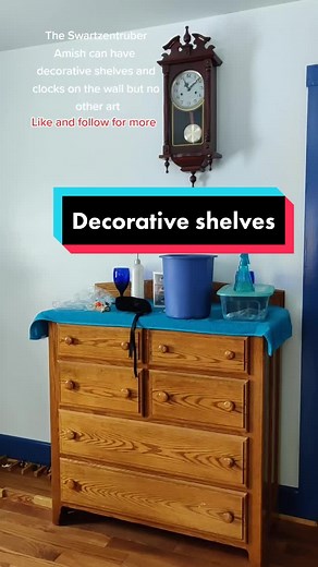 #livingroom #examishgirl #amishtiktok #tradition #amishlife #amishgonewild #amishparadise #viralvideo #fyp