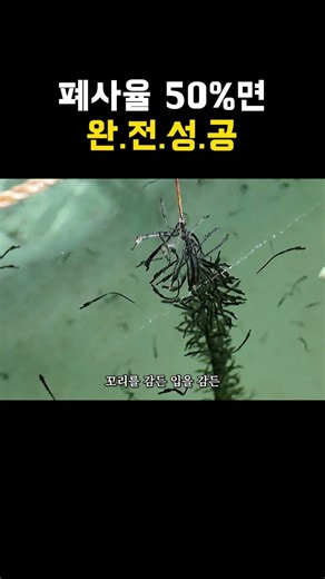 생각보다 더 어려운 해마 키우기ㅠ