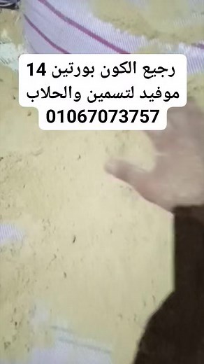 12K views · 25 reactions | وكتب رجيع الكون بورتين 14 موفيد لتسمين والحلاب وحط صوره العينه والفديو | سوق بلدنا | Facebook