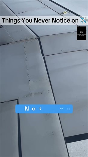 The Airplane’s Nose Secret | What’s Really Inside? | Masked Horizons