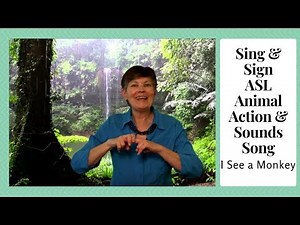 Sing & Sign ASL Animal Actions & Sounds Song | I See a Monkey
