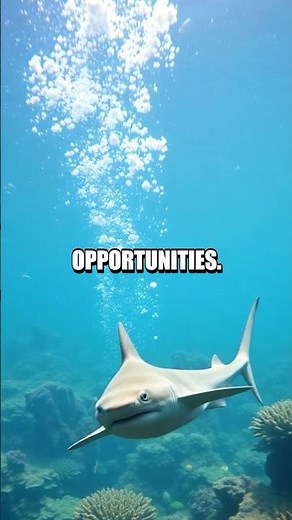 The Unbelievable Parthenogenesis of the Bonnethead Shark