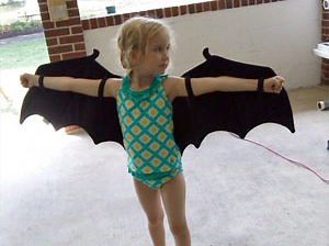 Education - Bat Conservation & Rescue of Virginia