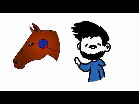 Bolsas guturales- Anatomía veterinaria