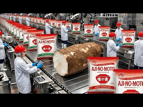 Inside the Giant Ajinomoto Factory: How MSG is Made from Cassava Root | Full Factory Documentary