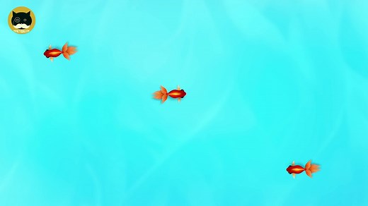 Chat des jeux sur écran contagieux poisson Divertissement vidéo pour chats à regarder