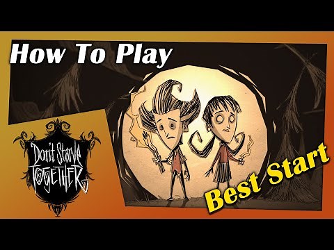 How To Play - Don't starve Together - Beginners Autumn Guide 2022