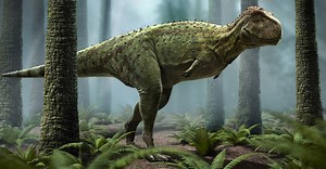 Conheça o Pycnonemossauro, o dinossauro brasileiro primo do T-rex