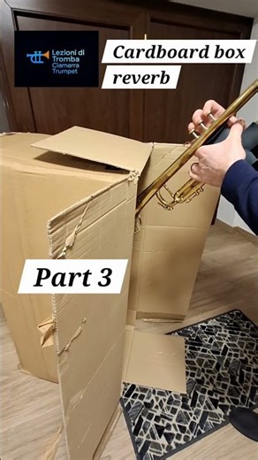 The weirdest places I play Trumpet (Part 3) #music #musica #trumpette #solo #trumpet #travel #quinte