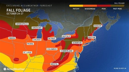 Wildfires broke out in Mass. over the weekend. What to know about fire risk today