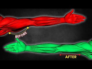 How to Lose Arm Fat Fast at Home Best Arm Slimming Exercises