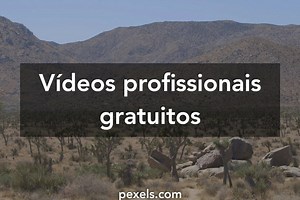 Vídeos de Scroller+quiver